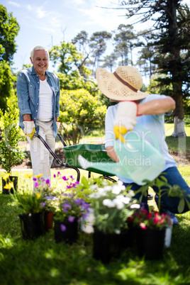 Senior couple working together in park