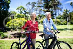 Senior couple walking with bicycle in park