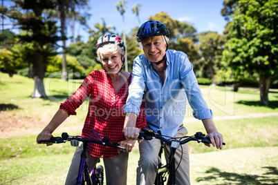 Happy couple riding a bicycle in park