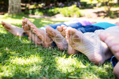 Children lying on grass