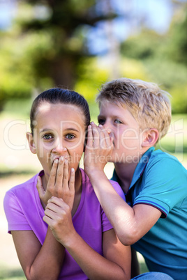 Boy whispering in his sisters ear