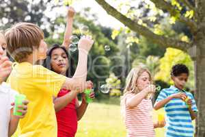 Children blowing bubbles wand in the park