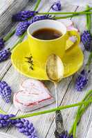 Tea and hyacinths