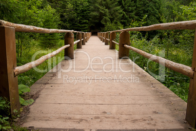 Wooden Footbridge in the Forest