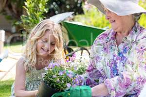 Grandmother and granddaughter holding a flower pot