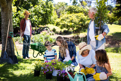 Multi-generation family gardening in the park