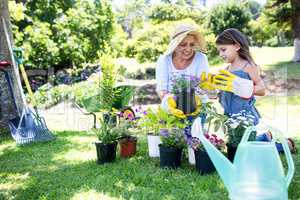 Grandmother and granddaughter gardening in the park