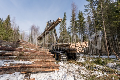 Logger with robotic arm lifts logs in winter woods