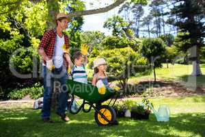 Father carrying his son and daughter in a wheelbarrow