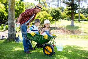 Father carrying his kids in a wheelbarrow