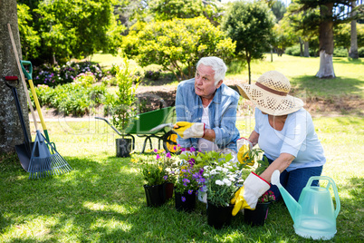 Senior couple gardening in the park