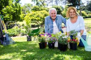 Senior couple gardening in the park