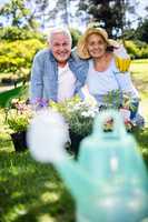 Senior couple gardening in the park