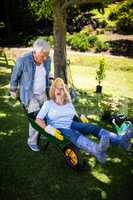 Senior couple playing with a wheelbarrow