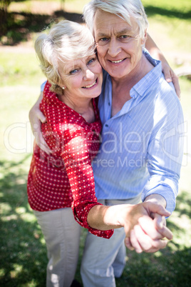 Happy senior couple dancing in the park