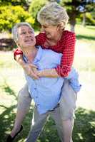 Happy senior man giving a piggy back to senior woman