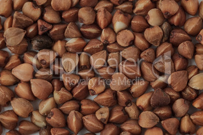 Buckwheat seeds up close