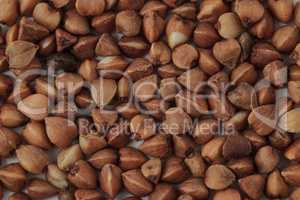 Buckwheat seeds up close
