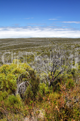 Flinders Chase Nationalpark