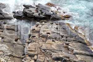 Robbenkolonie am Cape du Couedic