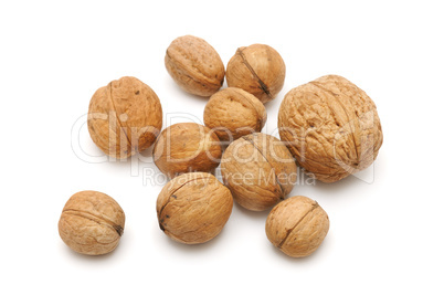 collections walnut