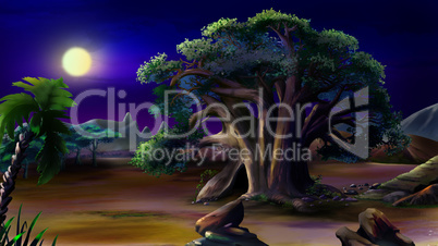 Large African baobab. Night View.