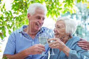 Retired couple toasting white wine