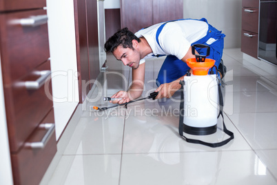 Man holding torch while spraying insecticide