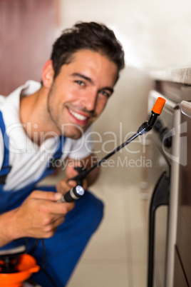 Cheerful man spraying insecticide on oven