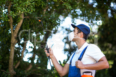 Side view of worker spraying on tree
