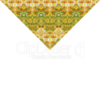 Indian Stylized Floral Stripes