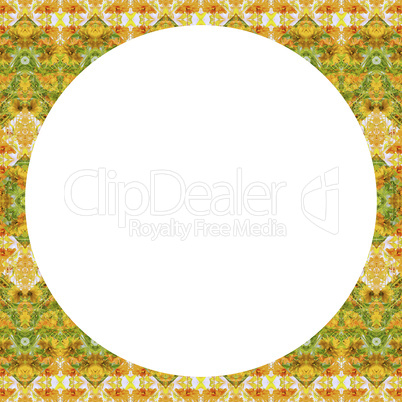 Indian Stylized Floral Stripes
