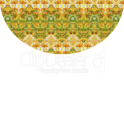 Indian Stylized Floral Stripes