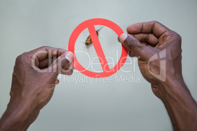 Hand holding a prohibition sign on a dead cockroaches