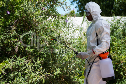 Man doing pest control