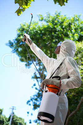 Man doing pest control