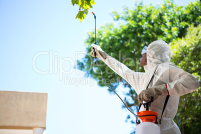 Man doing pest control