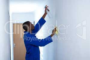 Handyman spraying insecticide on wall