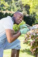 Young man cutting flowers
