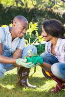 Young couple holding a sapling