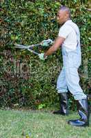 Man cutting hedge with garden scissors
