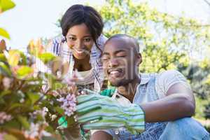 Young couple gardening together