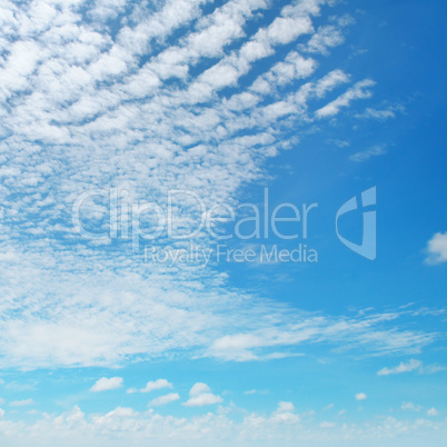 blue sky and white cumulus clouds