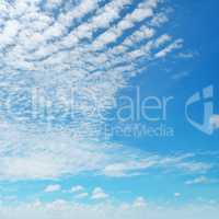 blue sky and white cumulus clouds