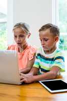 Curious siblings using laptop at home