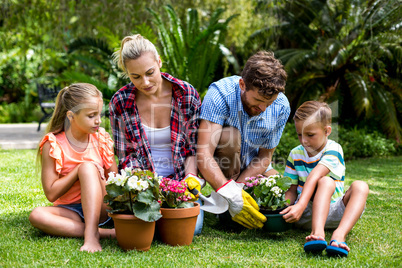 Family gardening with flower pots at yard