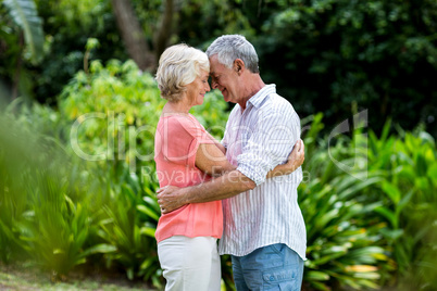 Senior couple embracing at yard