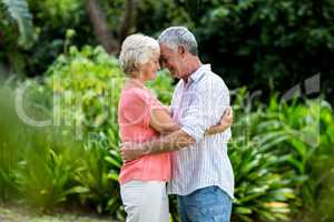 Senior couple embracing at yard