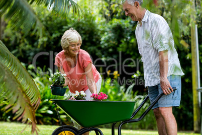 Senior couple holding wheelbarrow and flower pots