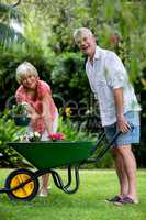 Senior couple with wheelbarrow and flower pots in yard